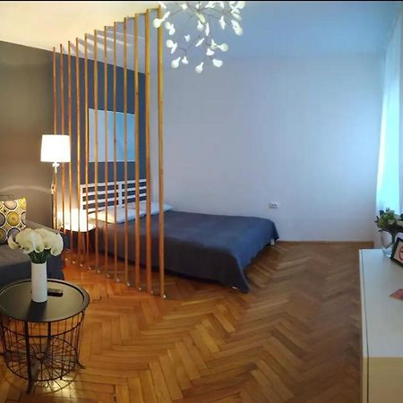 Art & Design Apt - City Center Temešvár Exteriér fotografie