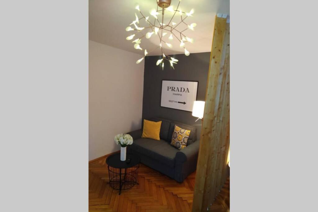 Art & Design Apt - City Center Temešvár Exteriér fotografie