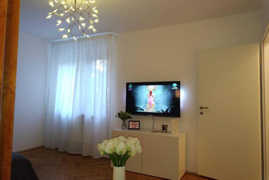 Art & Design Apt - City Center Temešvár Exteriér fotografie